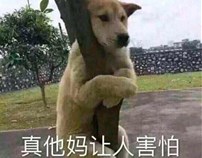 幸运飞行五码定位计划交流群927999