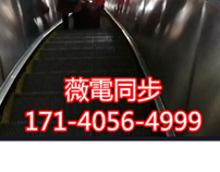 维多利亚在线私网【17140564999】